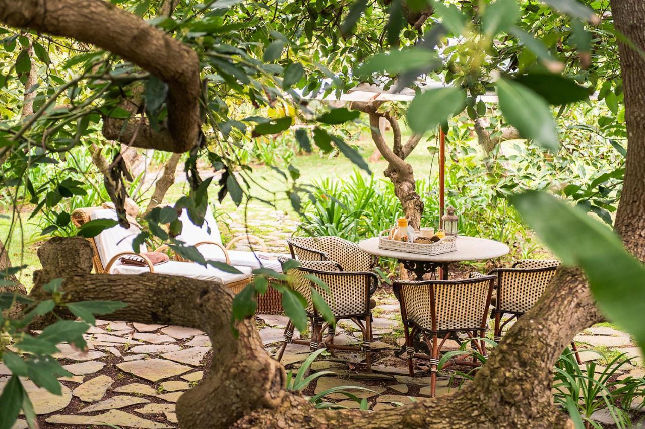 Homeforguest Cosy Rural Flat El Romero With Large Gardens Tacoronte Exterior photo